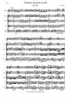 Vivaldi A. Flautino concerto a-moll - Score & Parts
